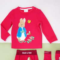 Peter Rabbit Autumn Leaf Top