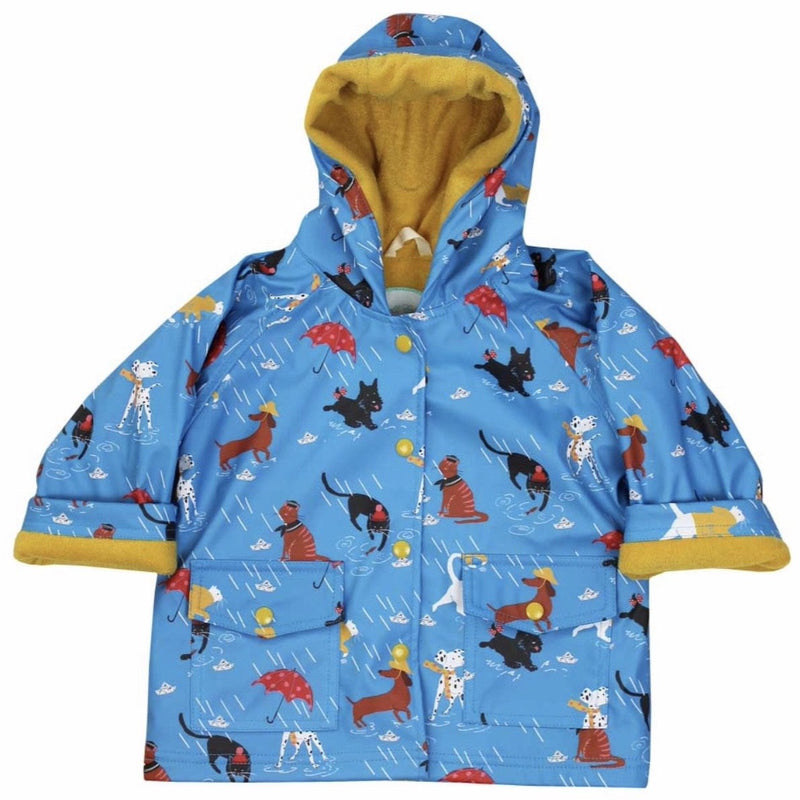 Cats and Dogs Raincoat
