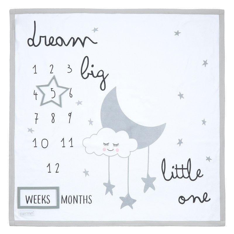 Milestone Blanket