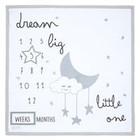 Milestone Blanket